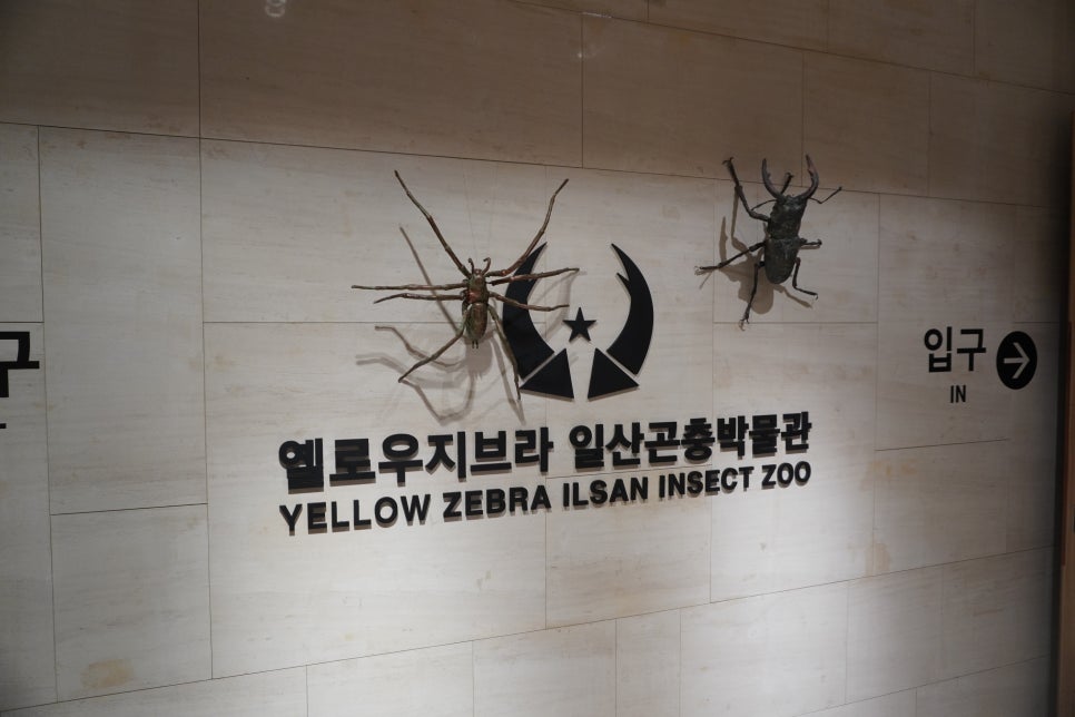 (주)옐로우지브라 이미지
