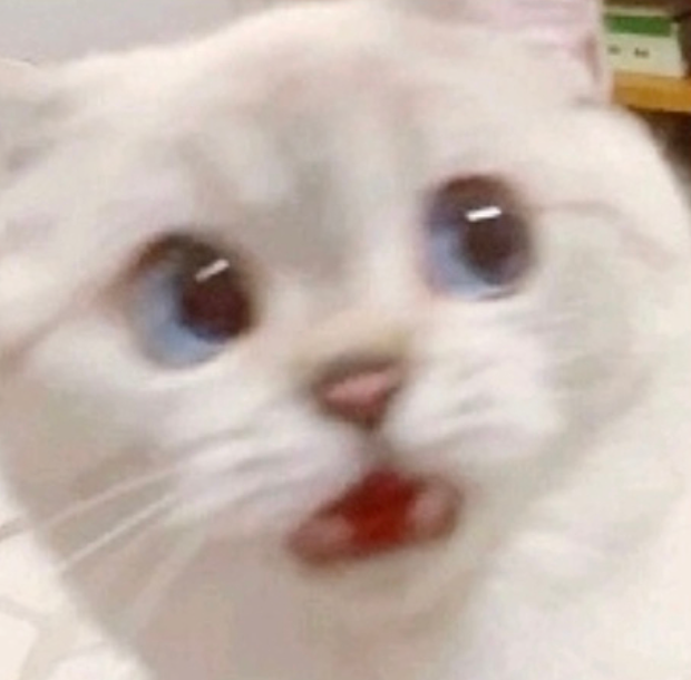 진케이 이미지
