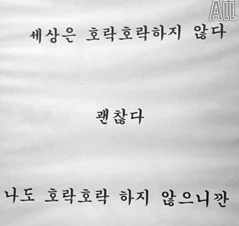 스윗캥거루 이미지