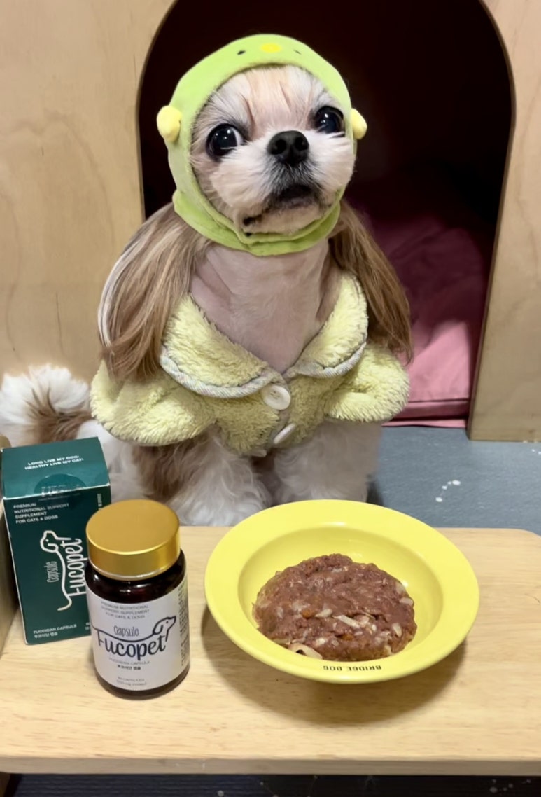 (주)해림후코이단 이미지