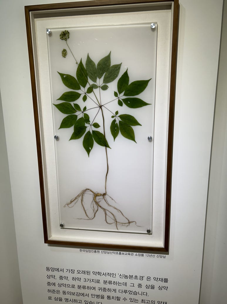 산삼약초전시장 이미지