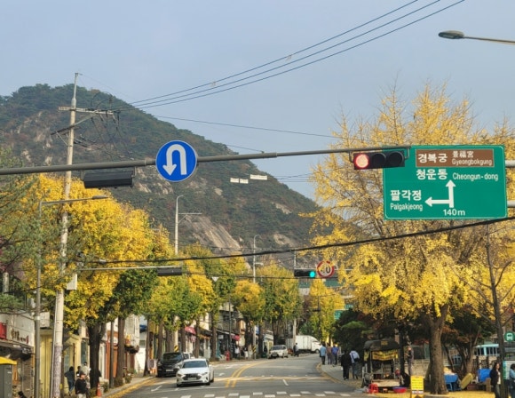 스코프케이크하우스 이미지