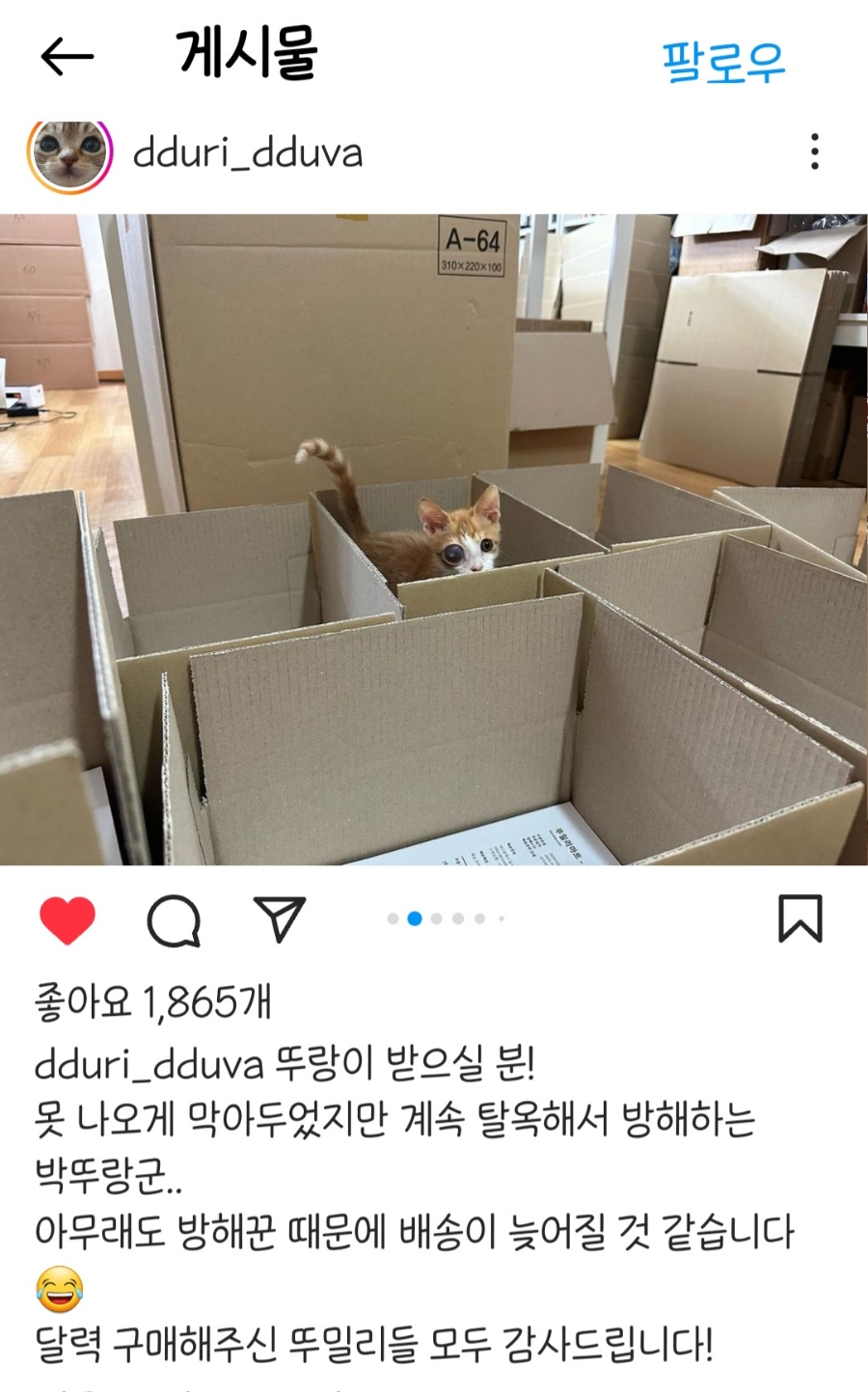 아이뚜리 이미지