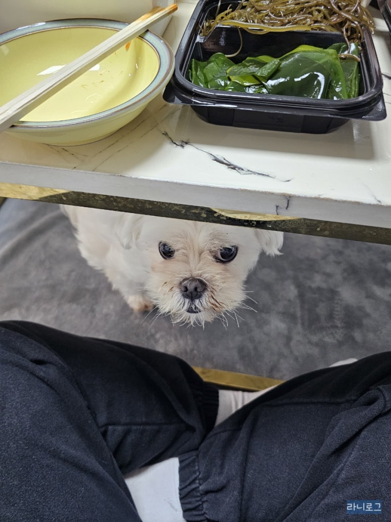 하누둥이 이미지