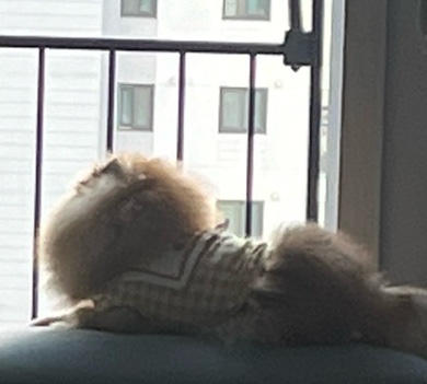 멍리단길 이미지