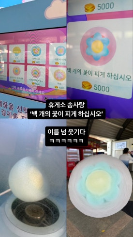 담양라온글램핑지점 이미지