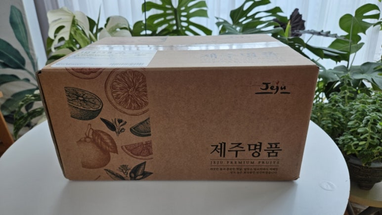 감귤가게봉구네농원 이미지