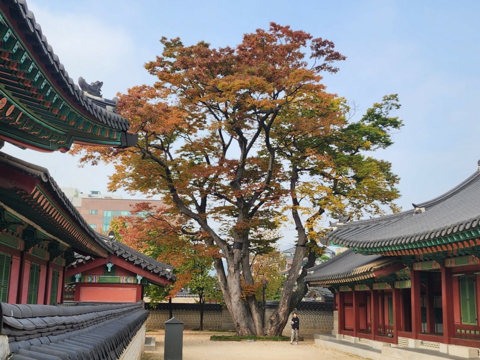 사랑열쇠 이미지