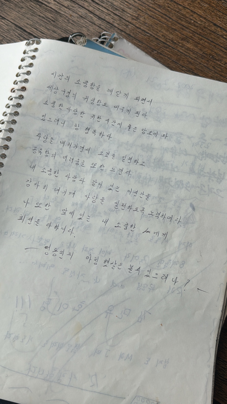 썬카페 이미지
