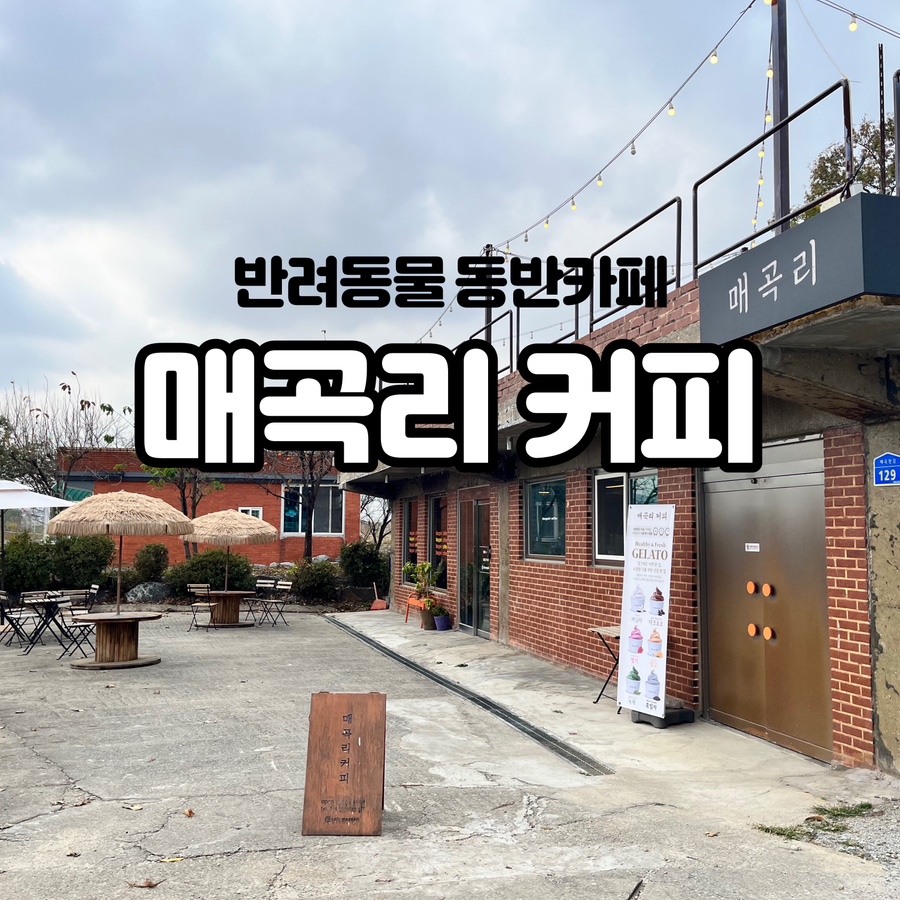 매곡리커피 이미지