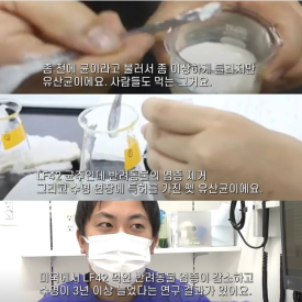 버틀 이미지