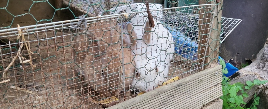 거북이민박 이미지