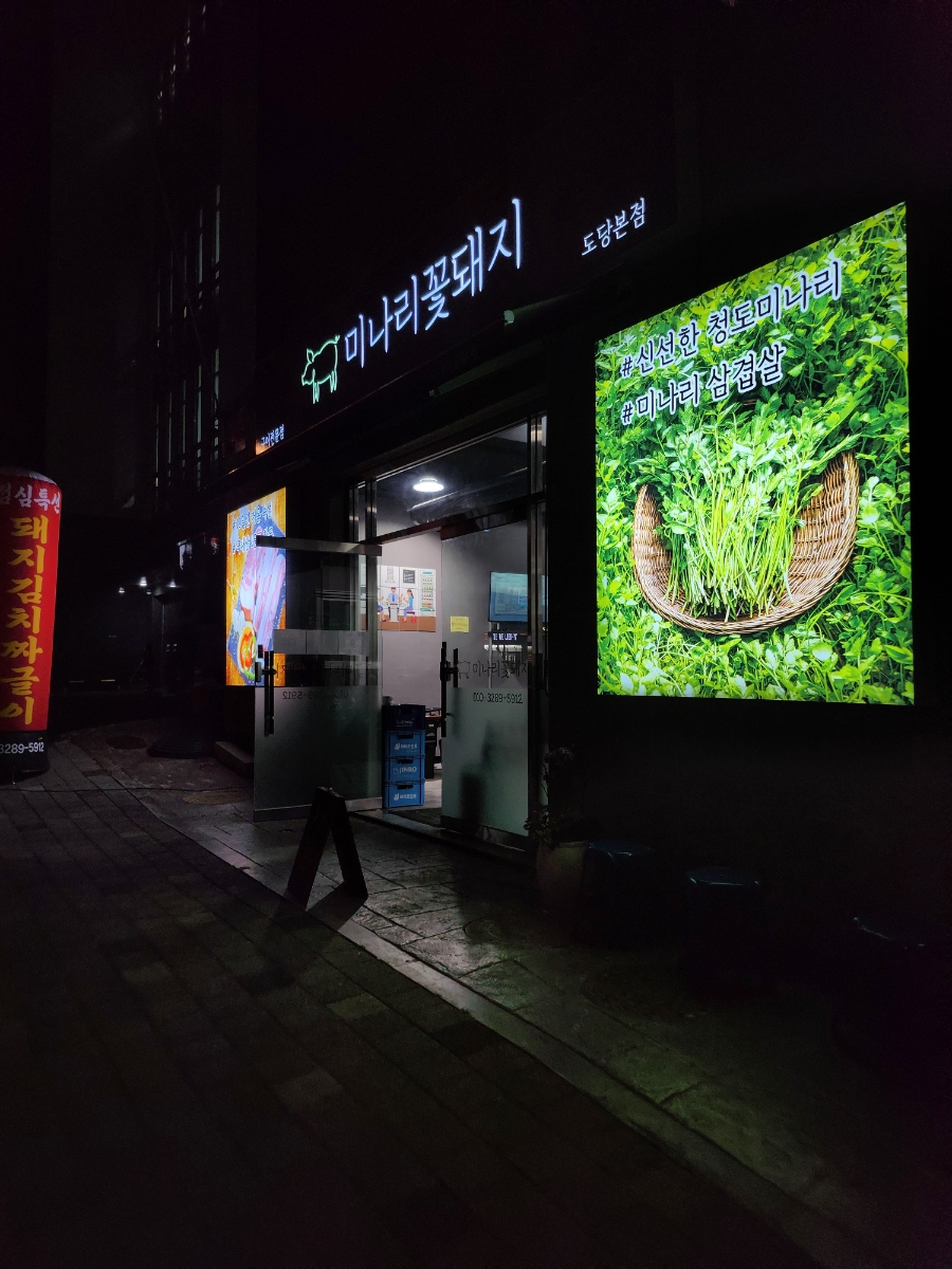 미나리꽃돼지 이미지