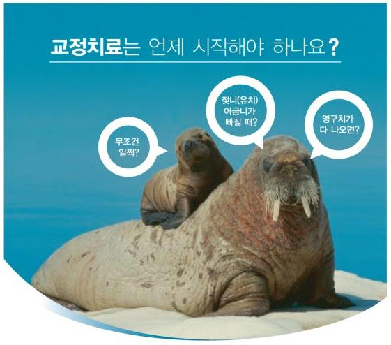 이세움치과 이미지
