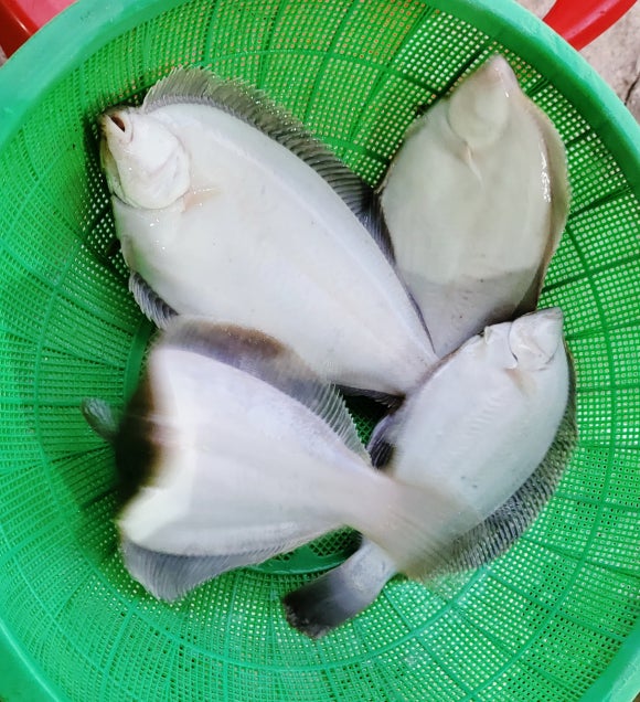 은실네진희네 이미지