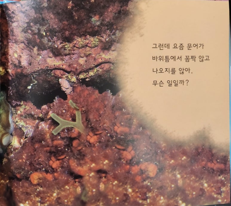 빛솔서점 이미지