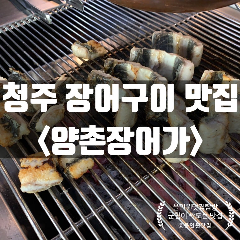 양촌장어가 이미지