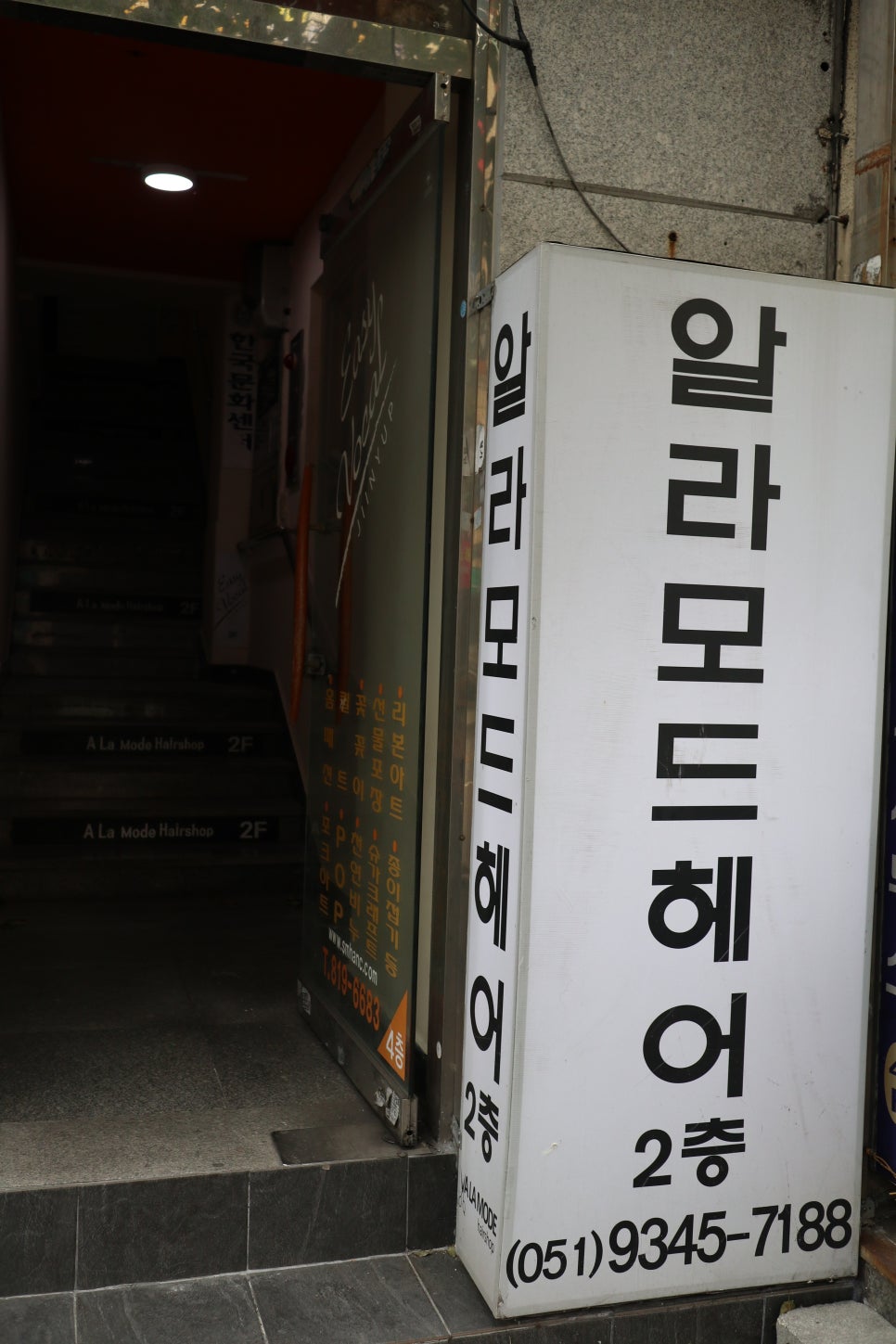 알라모드 이미지