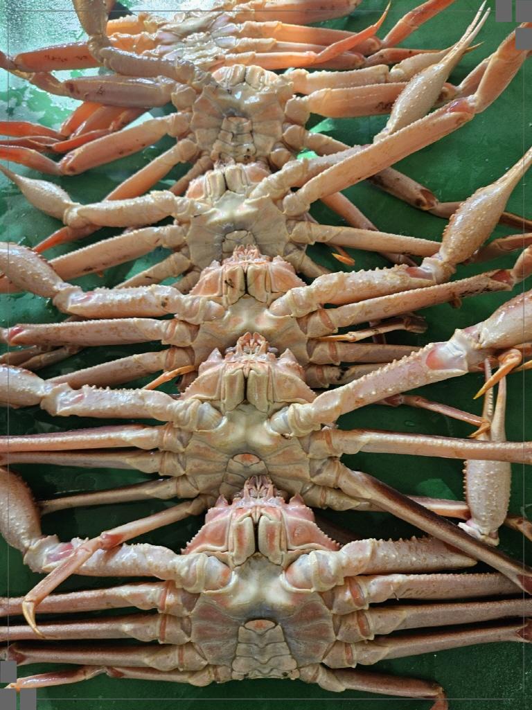 영횟집 이미지