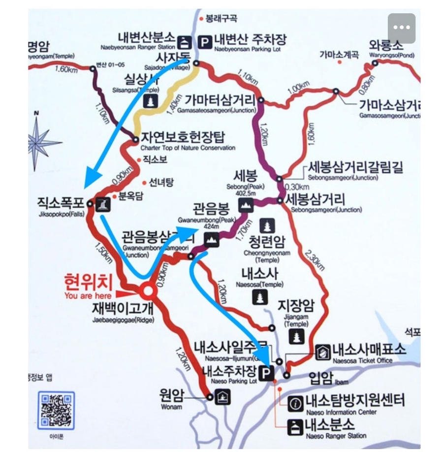 알레(alle) 이미지