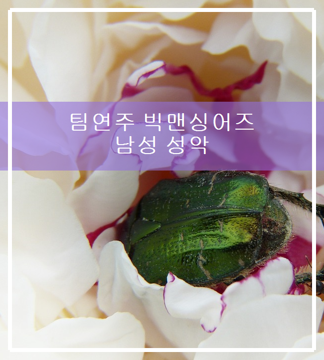 (주)빅맨 이미지