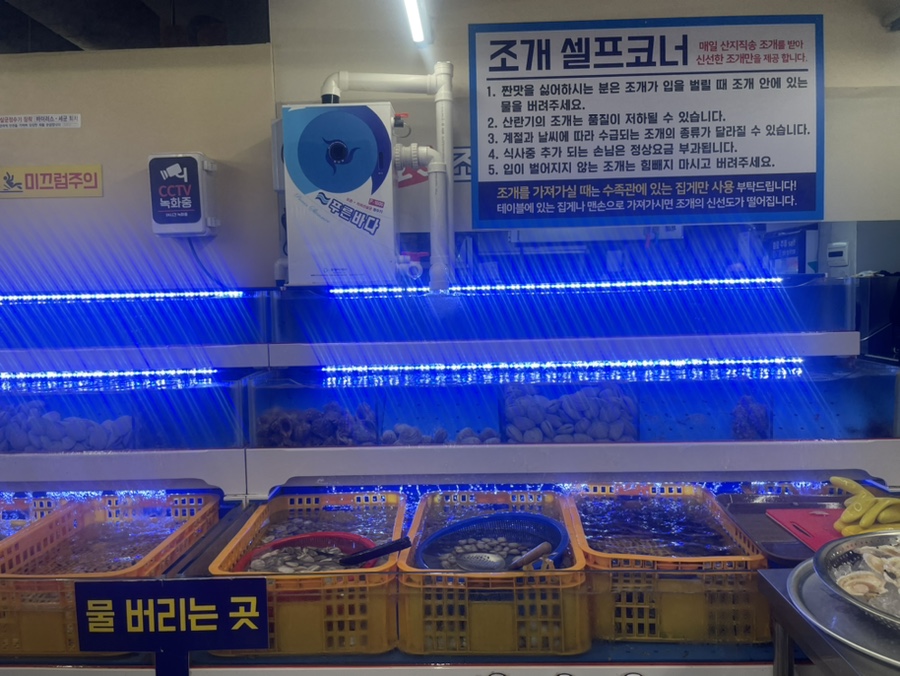 여니플로라 이미지