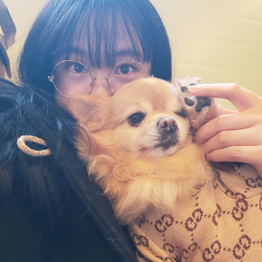 시고르댕 이미지