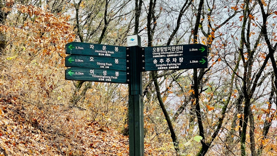 동남스포피아 수영장 이미지