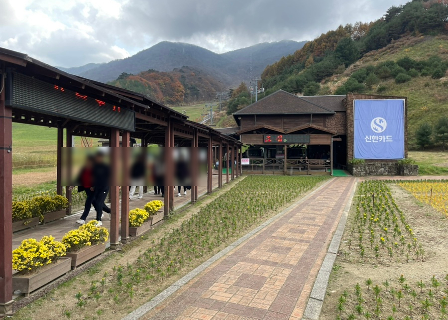 델피크리에이트 이미지
