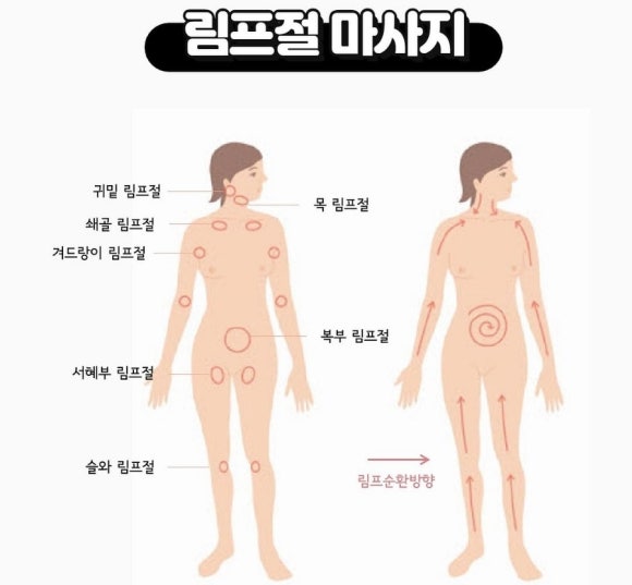 온바디 이미지