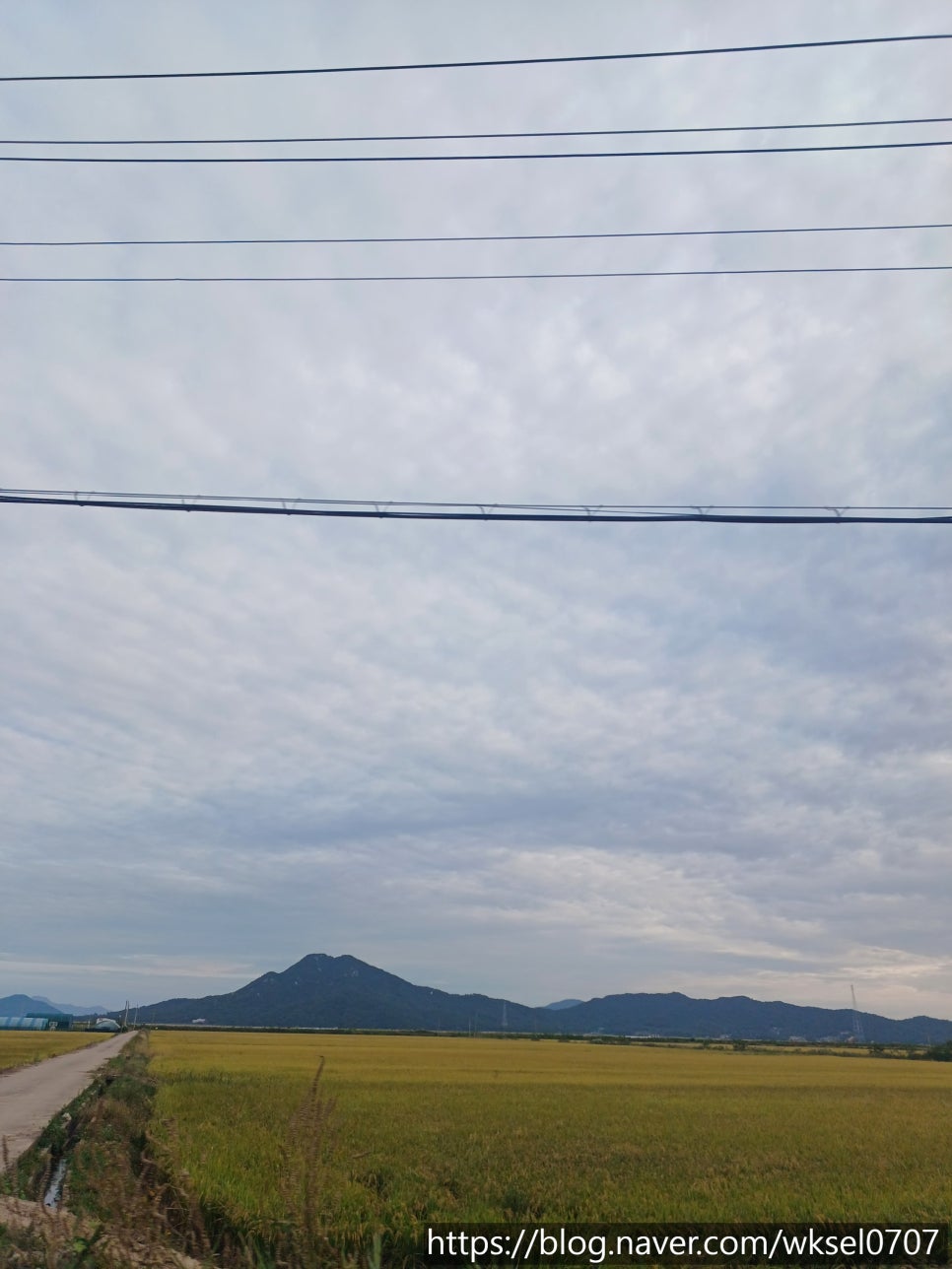 조양다방 이미지