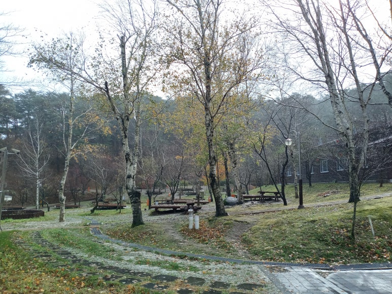삼양수선 이미지