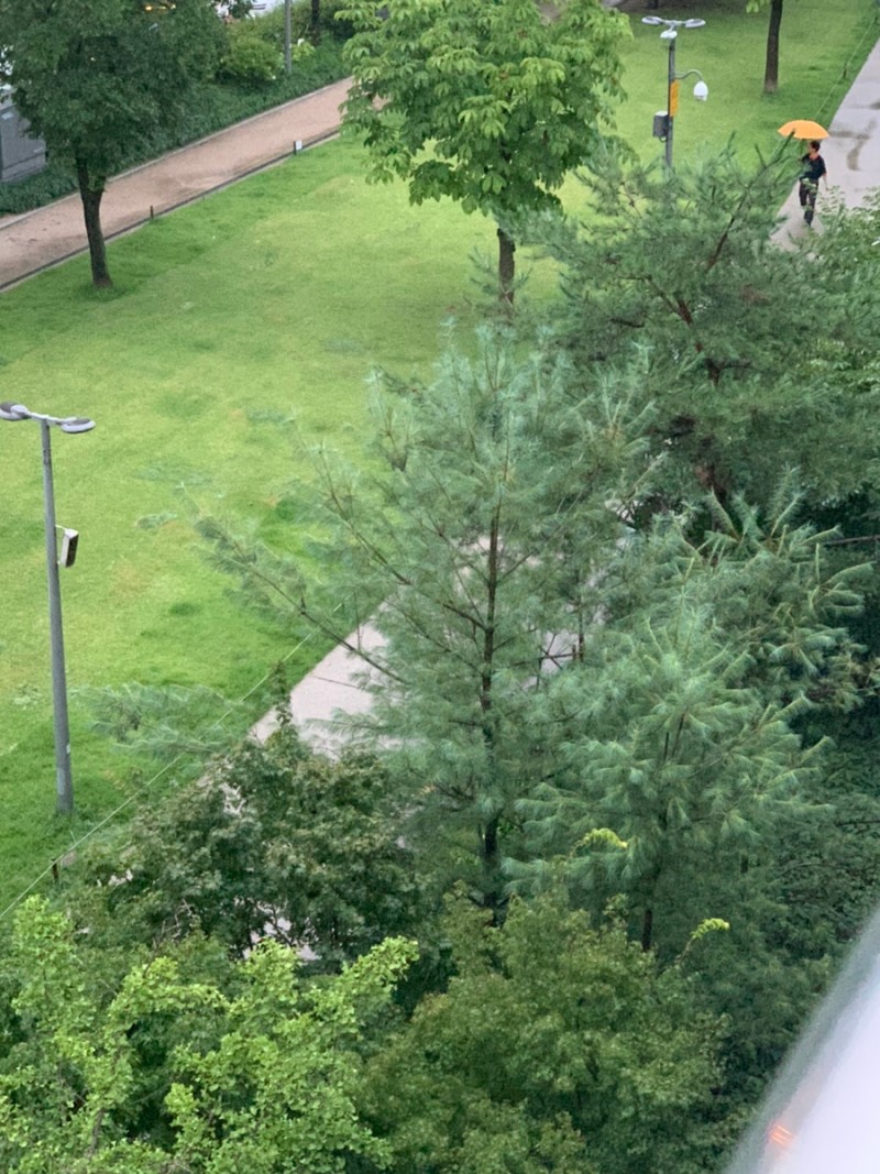 코딩플러스학원 이미지