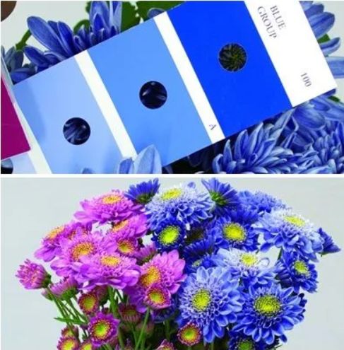 색깔이야기 이미지