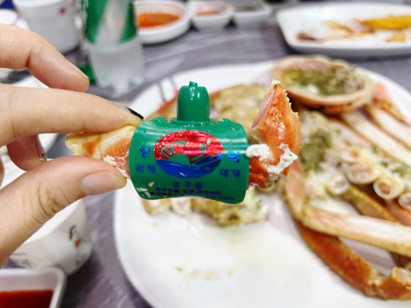 주야대게 이미지
