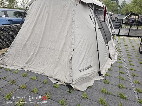 아워포레스트 이미지
