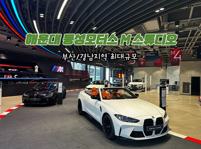 동성스튜디오 이미지