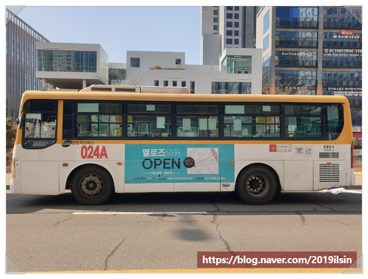 멜로즈의원 이미지