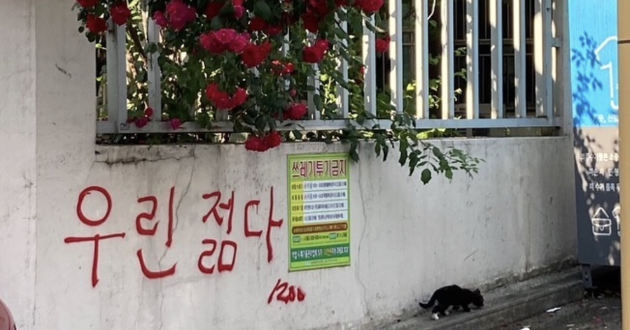 아엠 이미지