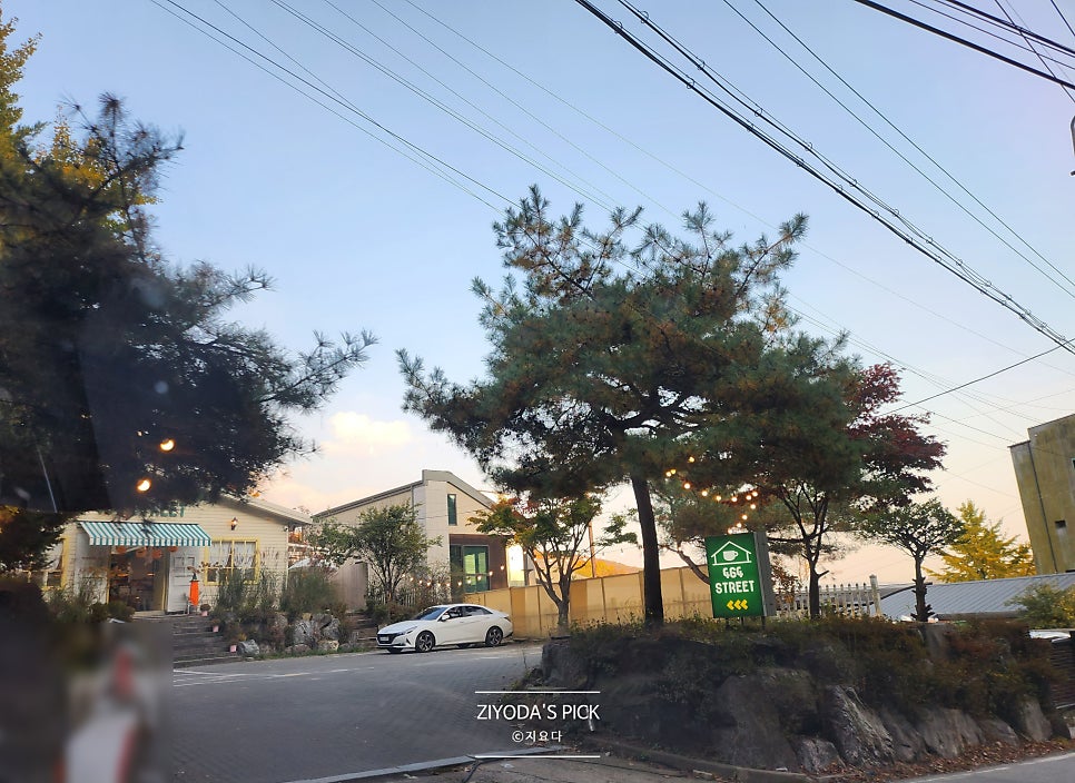 사육사스트릿 이미지
