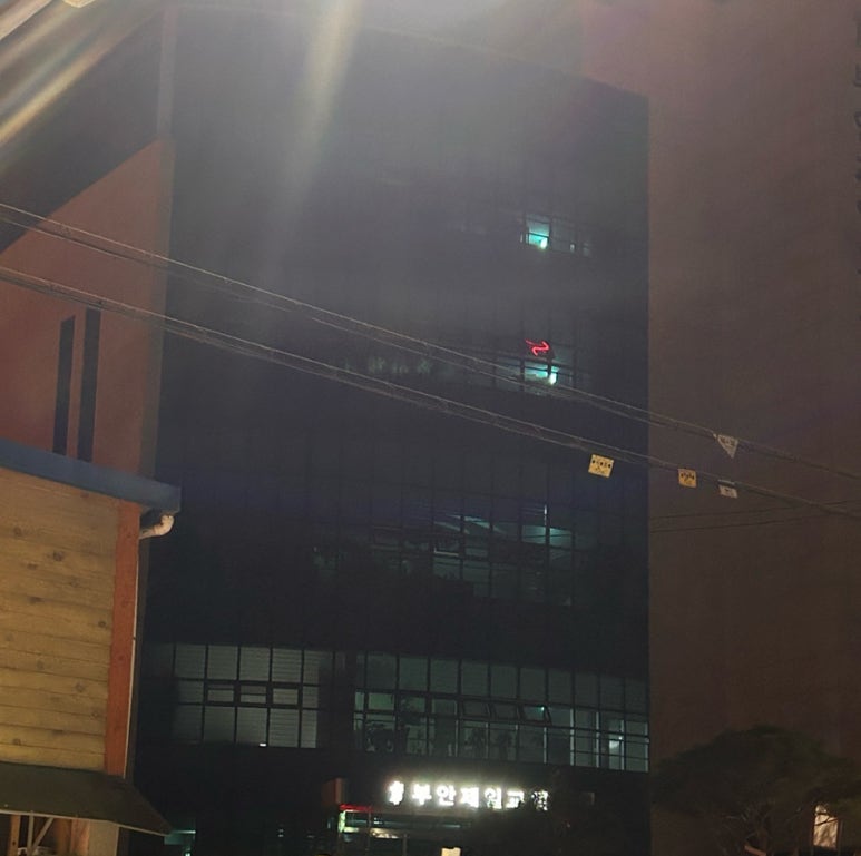 부안솔가 이미지
