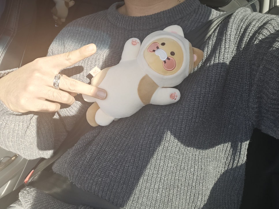 대홍화루 이미지
