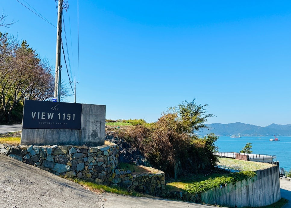 더뷰1151 이미지
