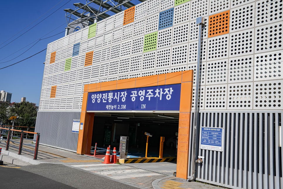 양양놀자 이미지