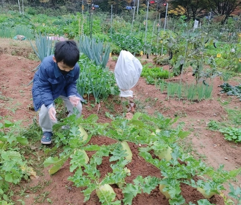 (주)무**수 이미지