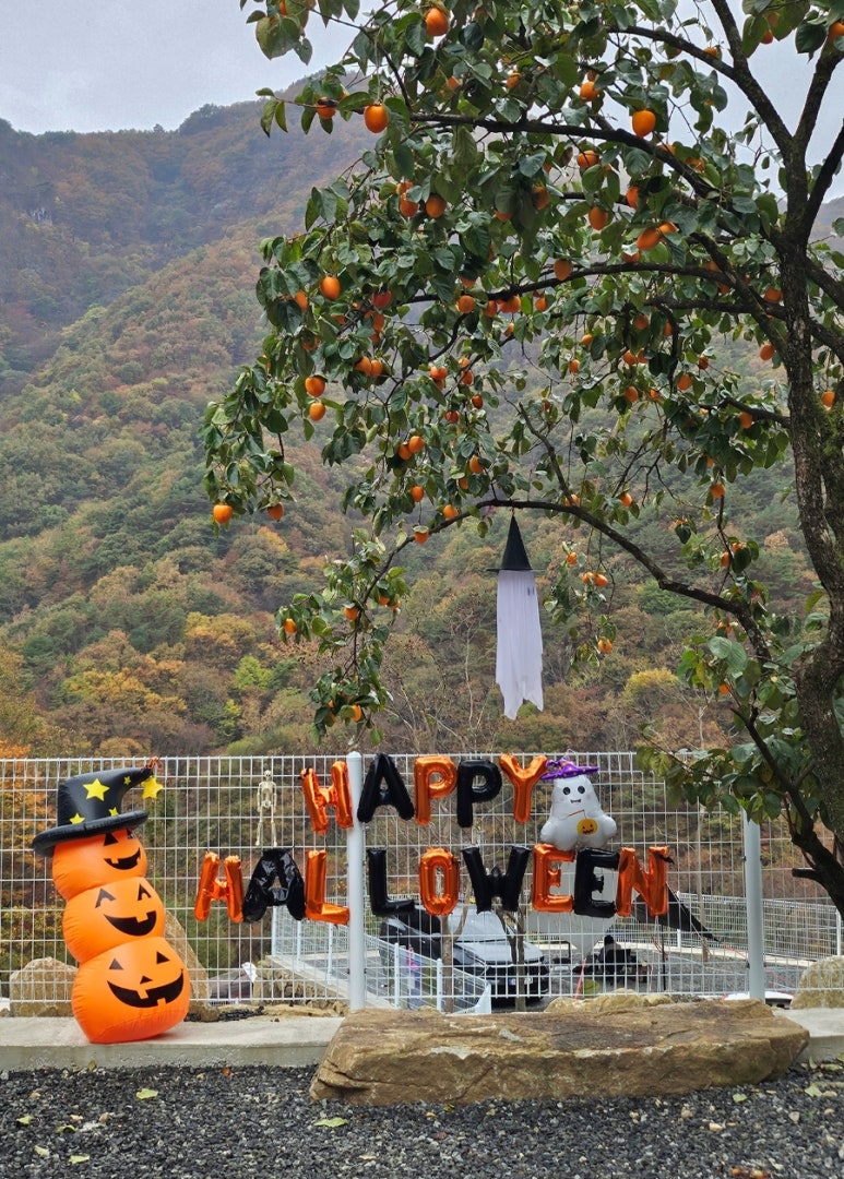 청학동별빛캠핑장 이미지
