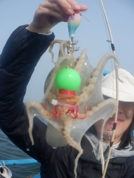 하나호 이미지