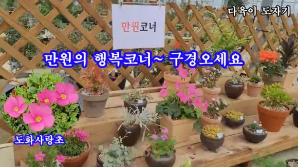 남사물향기야생화 이미지