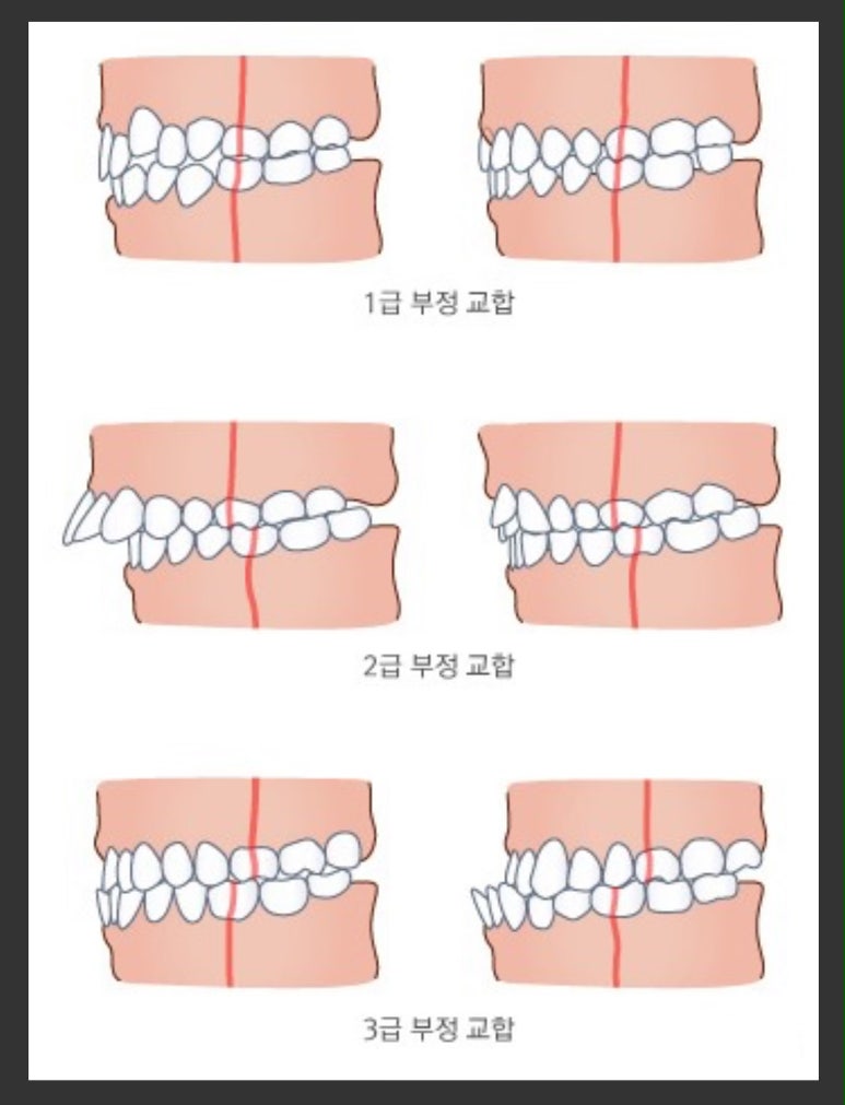 이세움치과 이미지