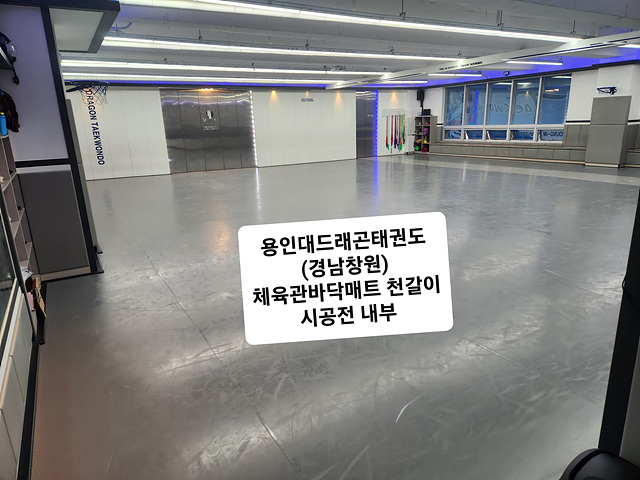 용인대체육관 이미지